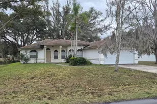 23300 Dover Dr, Land O Lakes, FL 34639 - Photo 1