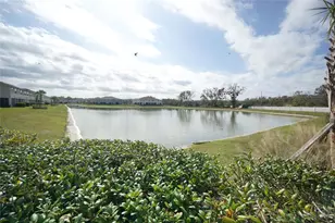 25967 Woven Wicker Bnd, Lutz, FL 33559 - Photo 12