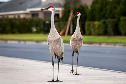 16319 66th Lane East, Parrish, FL 34219 - Photo 10