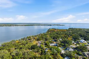 2454 Madrid Ave, Safety Harbor, FL 34695 - Photo 70