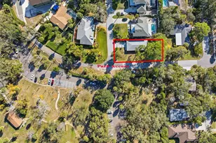 2454 Madrid Ave, Safety Harbor, FL 34695 - Photo 46