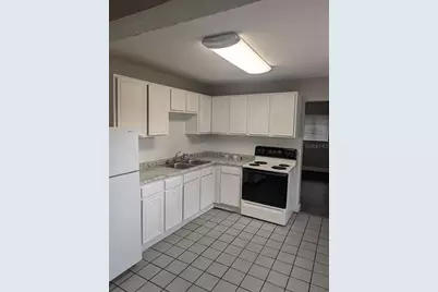 303 E Hydrangia Street, Tampa, FL 33612 - Photo 8