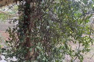 6405 S Manhattan Ave, Tampa, FL 33616 - Photo 26