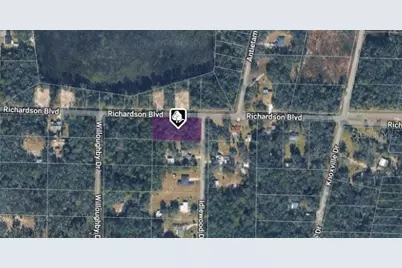 35118 Richardson Boulevard, Ridge Manor Estates, FL 33597 - Photo 1