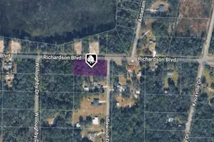 35118 Richardson Blvd, Ridge Manor Estates, FL 33597 - Photo 1