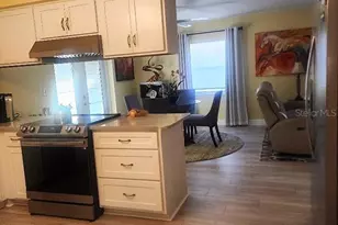 723 Elkhorn Rd, Sun City Center, FL 33573 - Photo 10