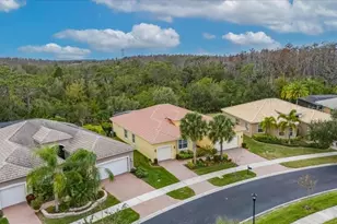 16227 Diamond Bay Dr, Wimauma, FL 33598 - Photo 58