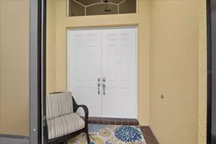 16227 Diamond Bay Dr, Wimauma, FL 33598 - Photo 4