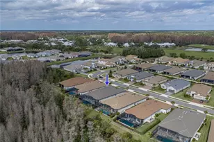 4920 Freccia Loop, Wesley Chapel, FL 33543 - Photo 6