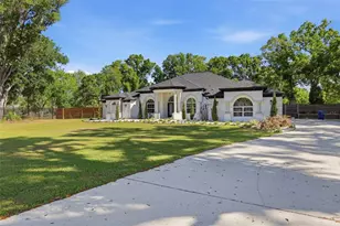 28233 Sonny Dr, Wesley Chapel, FL 33544 - Photo 2