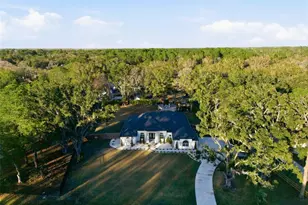 28233 Sonny Dr, Wesley Chapel, FL 33544 - Photo 70