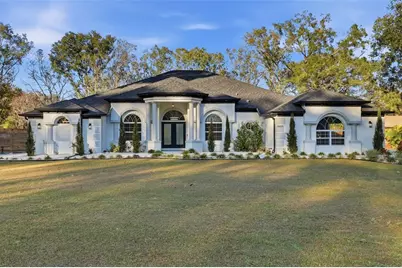 28233 Sonny Drive, Wesley Chapel, FL 33544 - Photo 1