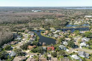 802 Centerwood Dr, Tarpon Springs, FL 34688 - Photo 82
