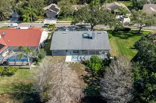 802 Centerwood Dr, Tarpon Springs, FL 34688 - Photo 62