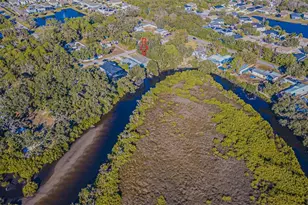 12508 Glenna Ave, Tampa, FL 33635 - Photo 10