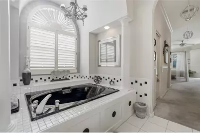 4092 Carlyle Lakes Boulevard, Palm Harbor, FL 34685 - Photo 36
