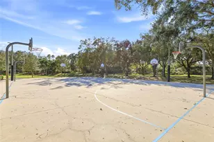 4092 Carlyle Lakes Blvd, Palm Harbor, FL 34685 - Photo 50
