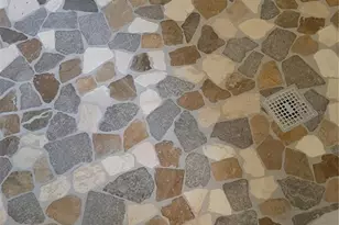 6801 Dali Ave, Land O Lakes, FL 34637 - Photo 18