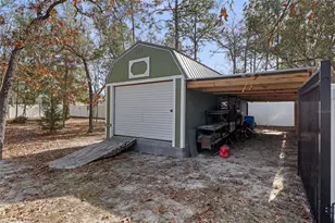 13124 Snowy Plover Ave, Weeki Wachee, FL 34614 - Photo 34