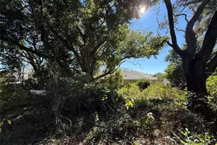6515 Taylor Ct, New Port Richey, FL 34653 - Photo 14