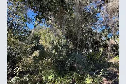 6515 Taylor Court, New Port Richey, FL 34653 - Photo 20