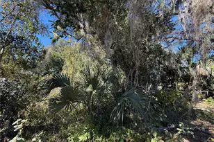 6515 Taylor Ct, New Port Richey, FL 34653 - Photo 20