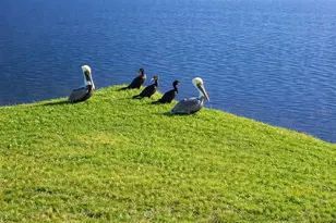 6363 99th Way N, Saint Petersburg, FL 33708 - Photo 8