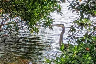 6363 99th Way N, Saint Petersburg, FL 33708 - Photo 44