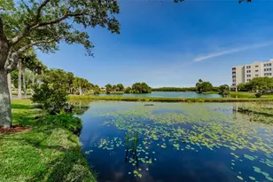 6363 99th Way N, Saint Petersburg, FL 33708 - Photo 56