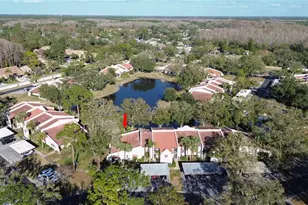 3505 Tarpon Woods Blvd, Palm Harbor, FL 34685 - Photo 2