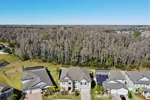 19328 Eagle Crk Ln, Tampa, FL 33647 - Photo 86