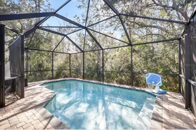 7878 Tuscany Woods Drive, Tampa, FL 33647 - Photo 2
