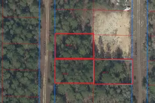 Tbd NE 147th Terrace, Williston, FL 32696 - Photo 1