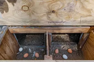 88 Harbor Oaks Cir, Safety Harbor, FL 34695 - Photo 48