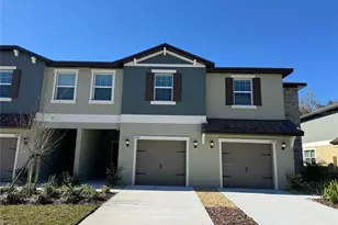 11091 Wishing Cloud Rd, Land O Lakes, FL 34638 - Photo 1