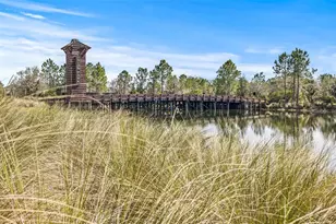 1435 Montgomery Bell Rd, Wesley Chapel, FL 33543 - Photo 46