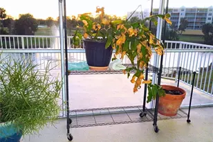 960 Starkey Rd, Largo, FL 33771 - Photo 34