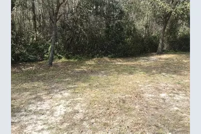 1135 Baronscourt Drive, Wesley Chapel, FL 33543 - Photo 32