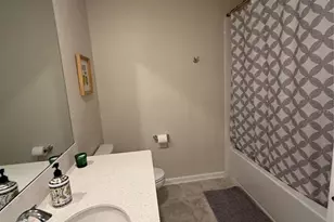 4773 Magnetite Loop, Mount Dora, FL 32757 - Photo 12