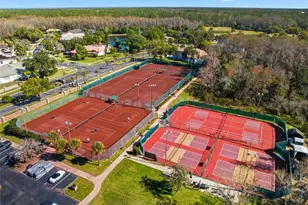 3150 Sterling St, Tarpon Springs, FL 34688 - Photo 72