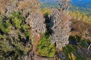 4300 Timberlane Rd, Lake Wales, FL 33898 - Photo 86
