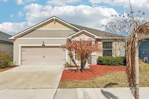 12934 Satin Lily Dr, Riverview, FL 33579 - Photo 1