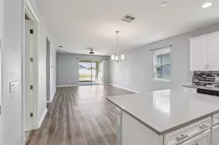 12934 Satin Lily Dr, Riverview, FL 33579 - Photo 8