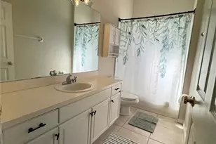 28724 Hanging Moss Loop, Wesley Chapel, FL 33543 - Photo 20