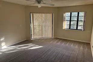 40 Austin Pl, Oldsmar, FL 34677 - Photo 10