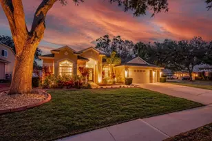 12537 River Birch Dr, Riverview, FL 33569 - Photo 38