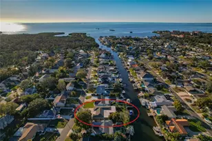 335 Crosswinds Dr, Palm Harbor, FL 34683 - Photo 64