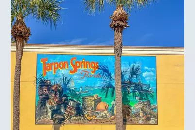 463 Bayou Village Drive, Tarpon Springs, FL 34689 - Photo 62