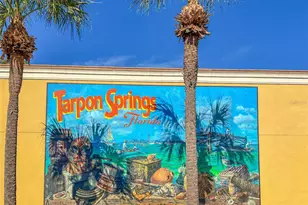 463 Bayou-Village Dr, Tarpon Springs, FL 34689 - Photo 62