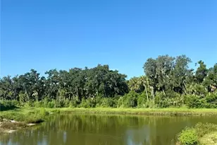 8225 Golden Bch Ct, Parrish, FL 34219 - Photo 30